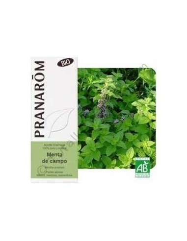 Menta Campo Aceite Esencial Alimentario Bio 10Ml.