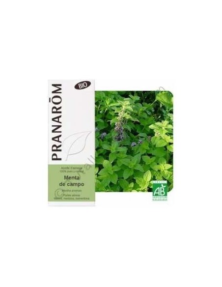 Menta Campo Aceite Esencial Alimentario Bio 10Ml.