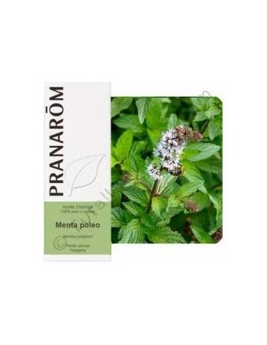Menta Poleo Aceite Esencial Alimentario 10Ml.