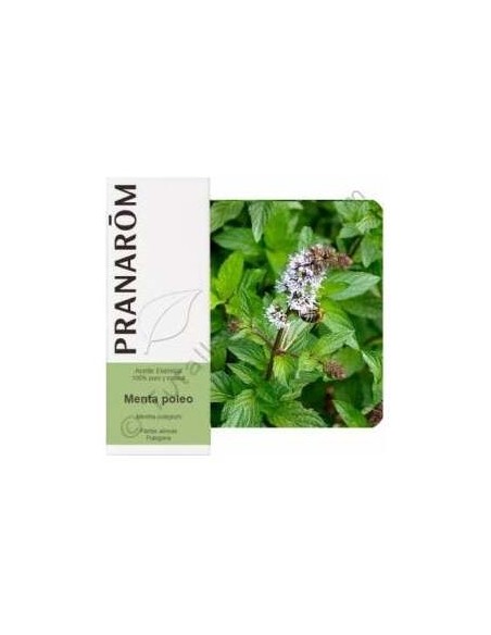 Menta Poleo Aceite Esencial Alimentario 10Ml.