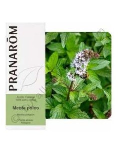 Menta Poleo Aceite Esencial Alimentario 10Ml. 2