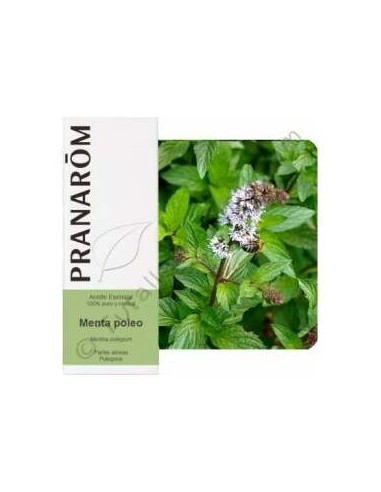Menta Poleo Aceite Esencial Alimentario 10Ml.
