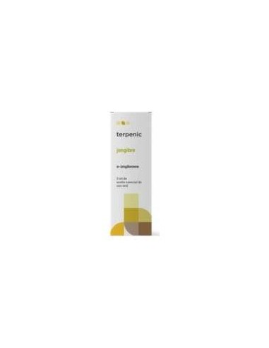 Jengibre Aceite Esencial Bio 5Ml.