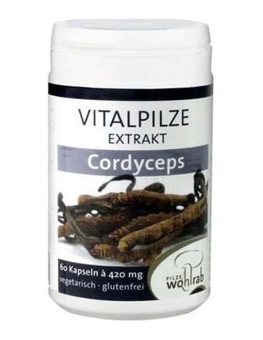 Pilze Wolhrab Cordyceps 60Caps
