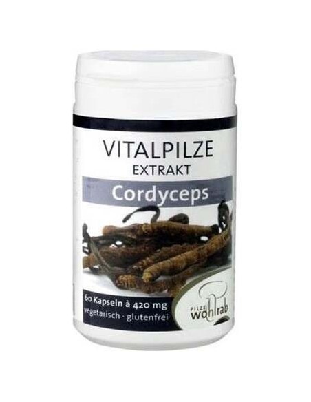 Pilze Wolhrab Cordyceps 60Caps