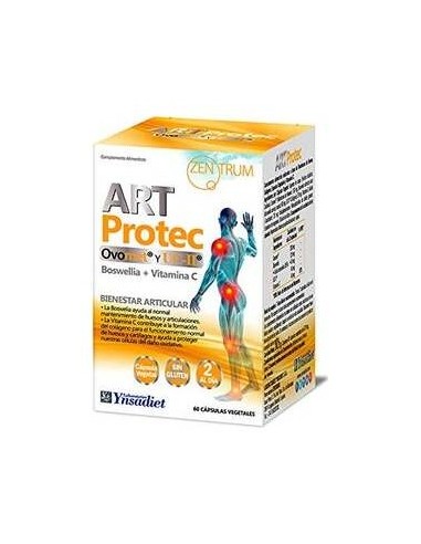 Zentrum Art Protect 60Vcaps