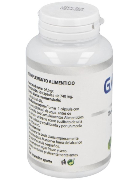 Gaba 550Mg. 90Cap.