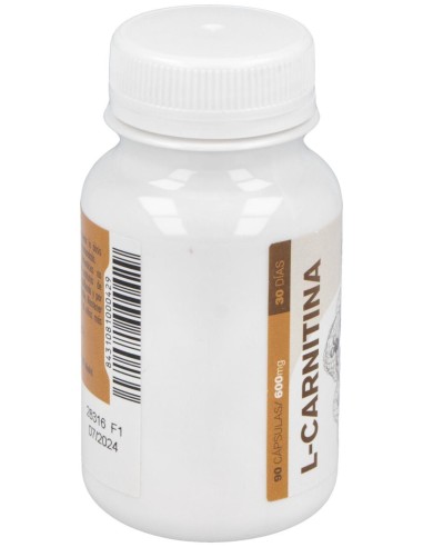 L-Carnitina 500Mg Caps. 90U