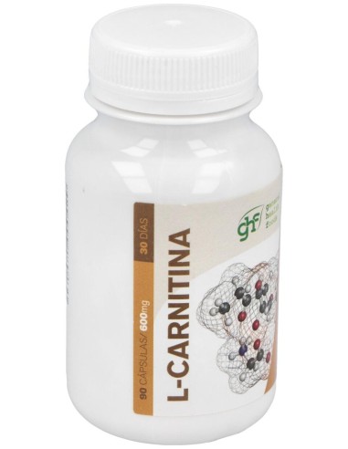 L-Carnitina 500Mg Caps. 90U