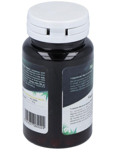 San Probiotic Human Specific Ferment 60Cáps