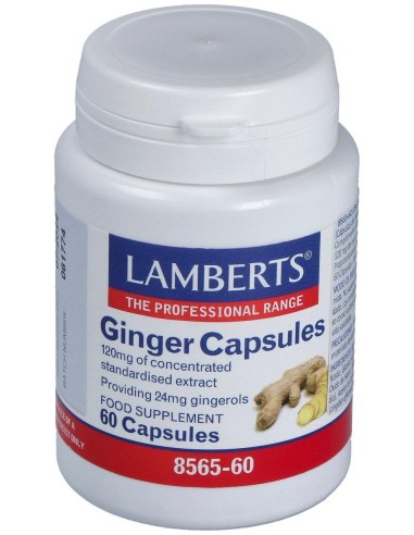 Ginger 12000Mg. Jengibre 60Cap.