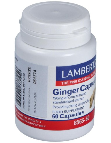Ginger 12000Mg. Jengibre 60Cap.