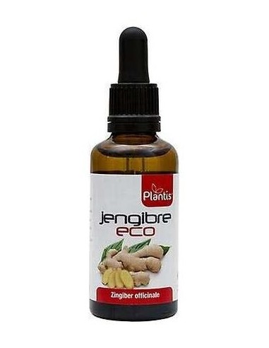 Plantis Ext. Jengibre Eco 50Ml