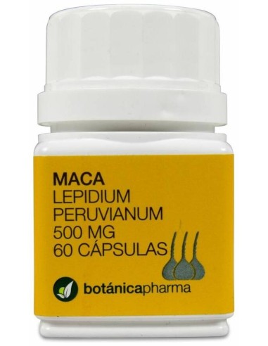 Botanicapharma Maca Andina 500 Mg, 60 Cápsulas