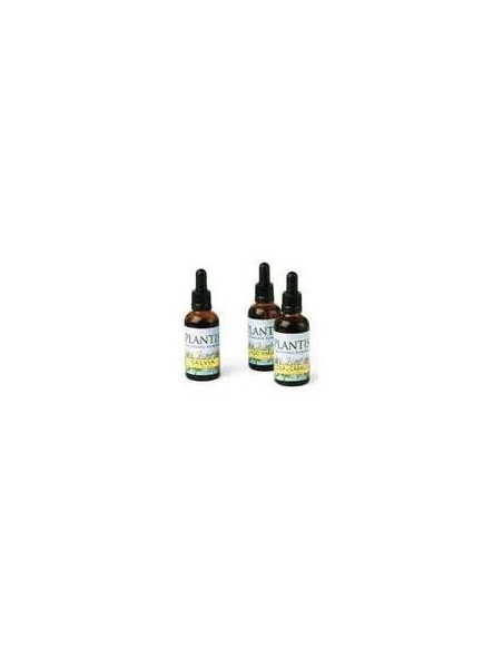 Ext.Ginkgo Biloba 50Ml Maese Herbario