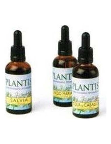 Plantis Extracto Cola Caballo Sin Alcohol 50Ml