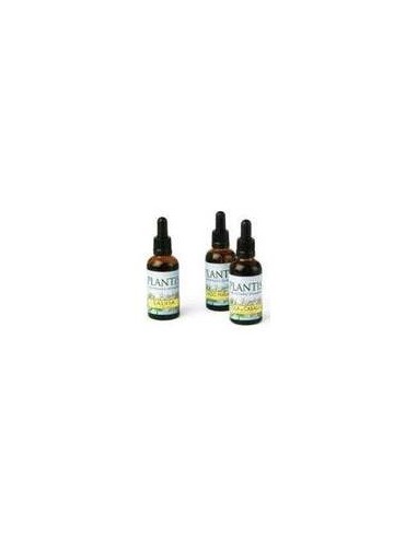 Maese Herbario Extracto Gayuba 50Ml