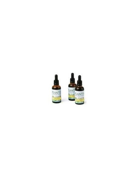 Maese Herbario Extracto Gayuba 50Ml