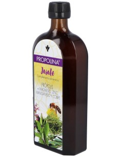 Artesania Agricola Propolina Jarabe 500Ml 2