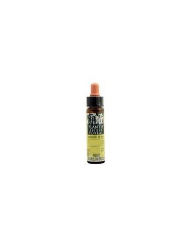 Rock Rose Plantis Flores De Bach Nº 26 10Ml.