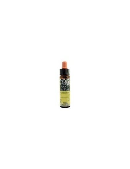 Rock Rose Plantis Flores De Bach Nº 26 10Ml.