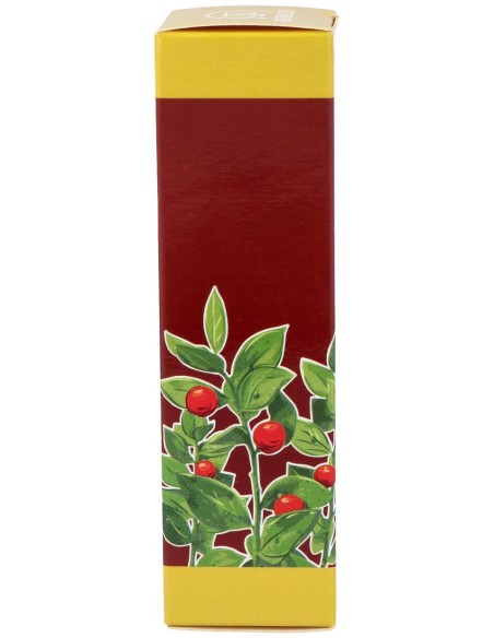 Cerato Ruscus 50Gr.