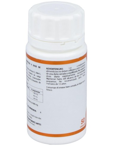 Holofit Piña - Papaya - Hinojo 50Cap.