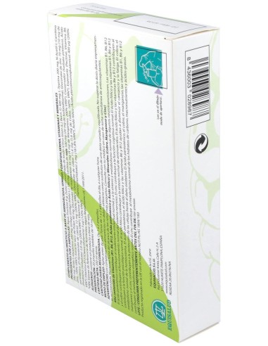 Holomega Brainet 20 Ampollas