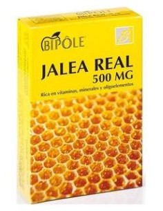 Bipole J.Real Fructosa 500Mg 20Amp