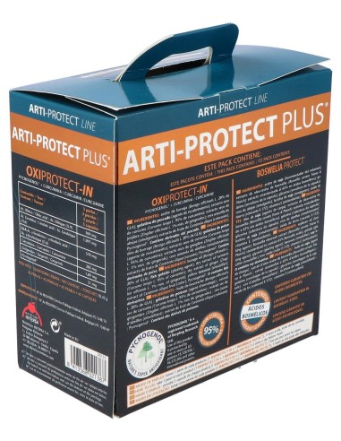 Intersa Arti-Protect Plus Pack 2 Botes 45Caps