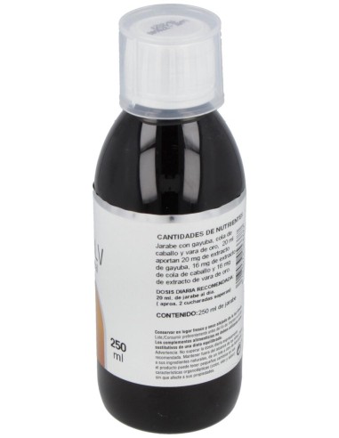 Disolv Renal Jarabe 250Ml.
