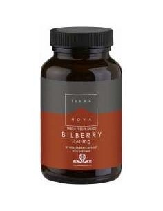 Terranova Arándano 360Mg 50 Vcaps 2