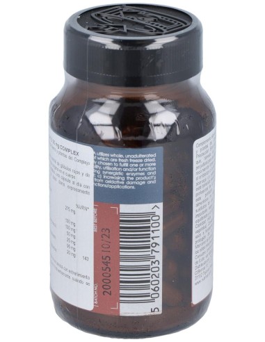 Terra Nova Hierro Bisciglinato 20Mg 100Caps