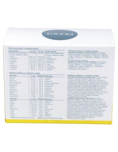 Am-Vit (Aminoac.+Vit+Minerales+Oligoel) 100+24Comp