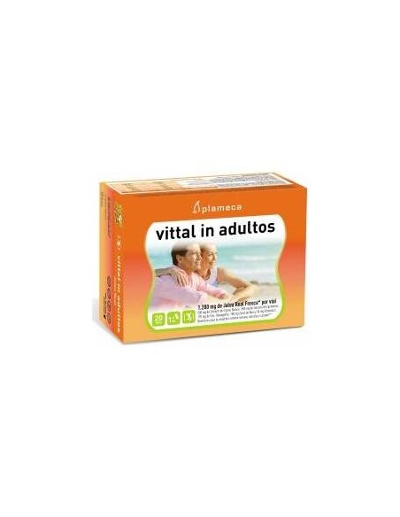 Vital In Adultos Jalea Real 20Amp