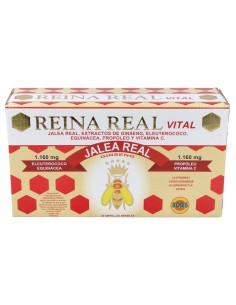 Robis Reina Real Vital 30 Ampollas