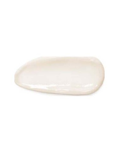 Vichy Neovadiol Peri Menopause Crema Día Redensificadora Efecto Lifting Piel Normal Mixta 50Ml