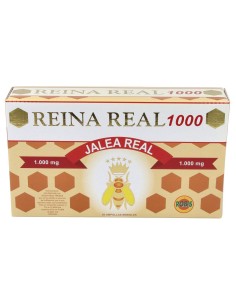 Robis Jalea Reina Real 1000 20 Amp Cristal