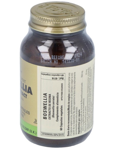 Boswellia-Resina-(Boswellia Serrata) 60Veg.