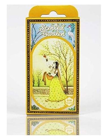 Radhe Shyam Magnolia Cono Incienso Scented Garden 12Uds