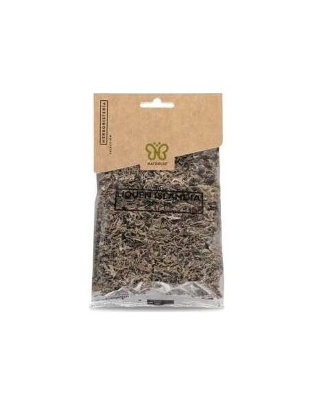 Liquen Islandia Planta 15Gr.