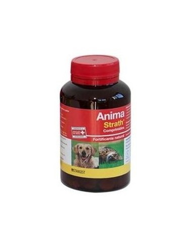 Anima Strath Perros Y Gatos 240Comp.