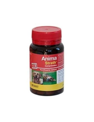 Anima Strath Perros Y Gatos 120Comp.