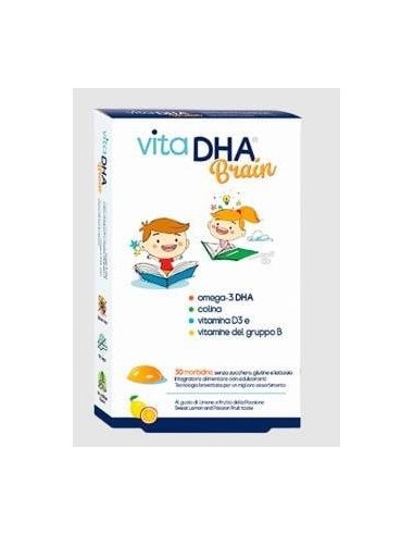Vitadha Brain Fresa-Limon 30Comp. Mast.