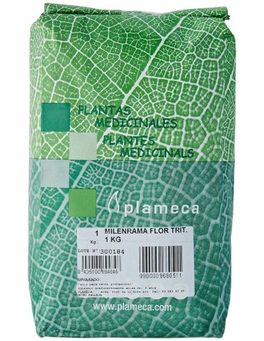 Plameca Milenrama Flor Triturada 1Kg
