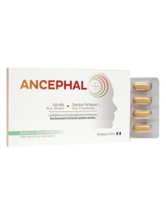 Ancephal 30Cap. - Evidency Lab