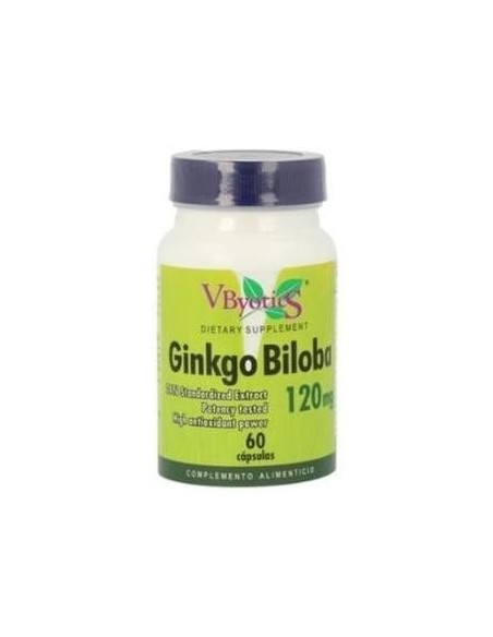 Vbyotics Ginkgo Biloba 120Mg 120Caps