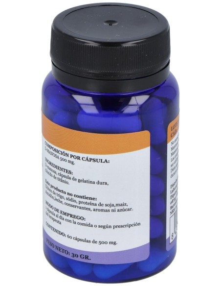 Alfa Herbal Creatina Polvo 750G