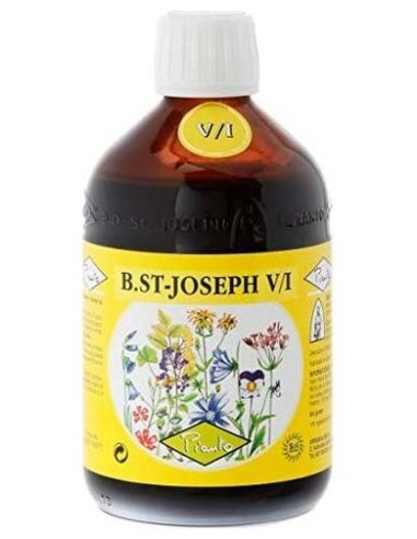 Bio San Jose V/I Vitalidad 365Ml