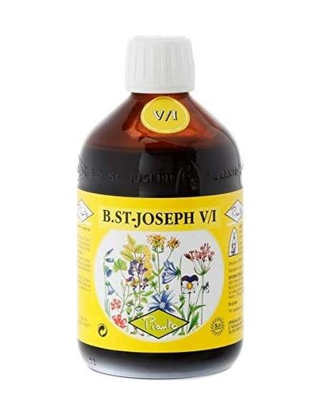 Bio San Jose V/I Vitalidad 365Ml